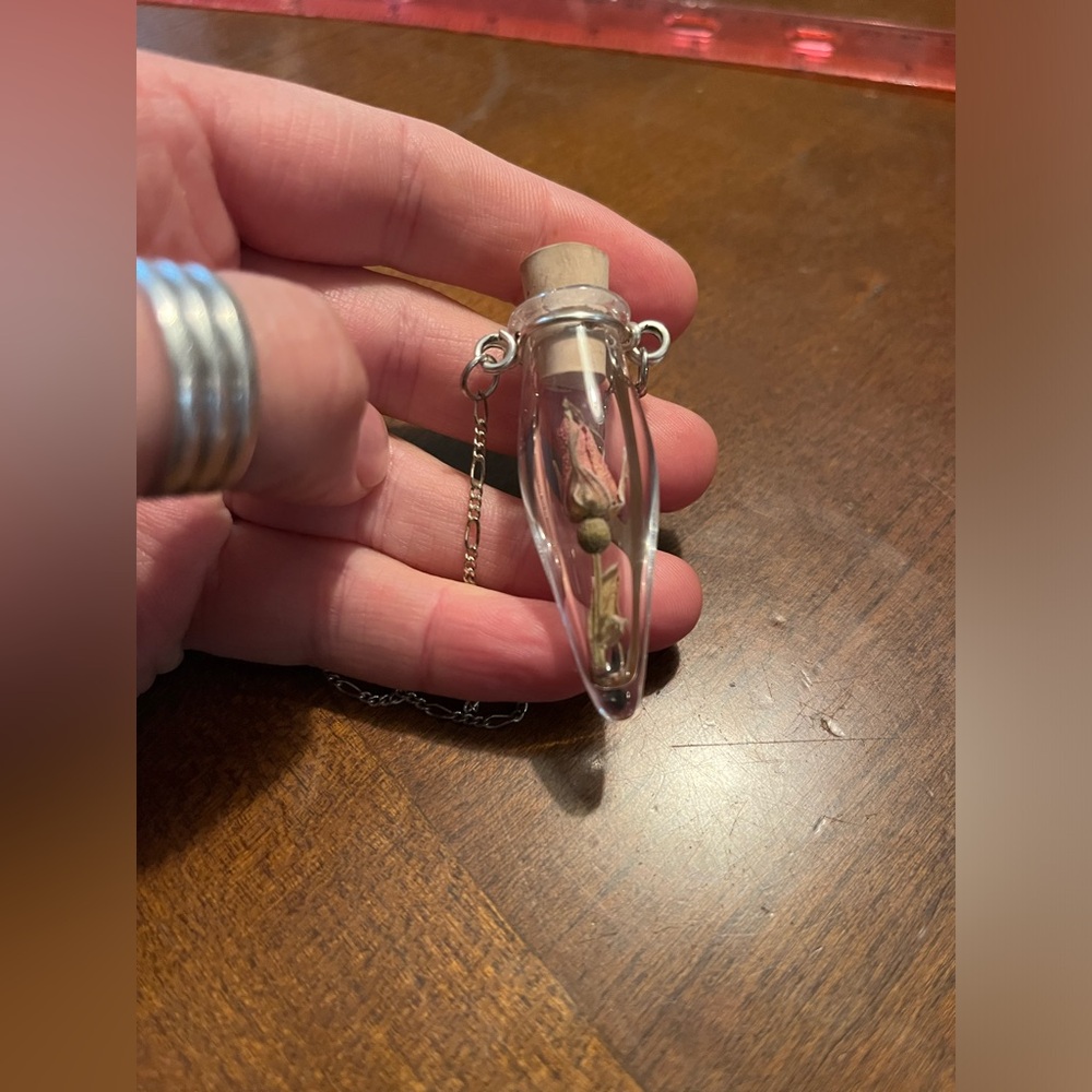 Dried Rose Bud Terrarium Necklace